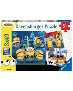 Minions 2 3x49p